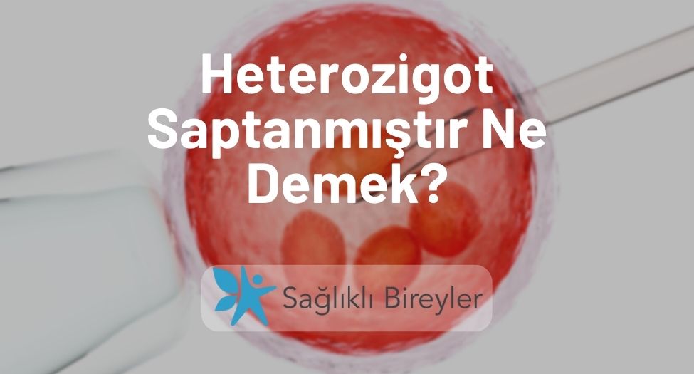 Heterozigot Saptanmıştır Ne Demek