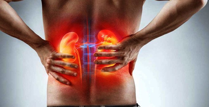 renal-agenezi-nedir