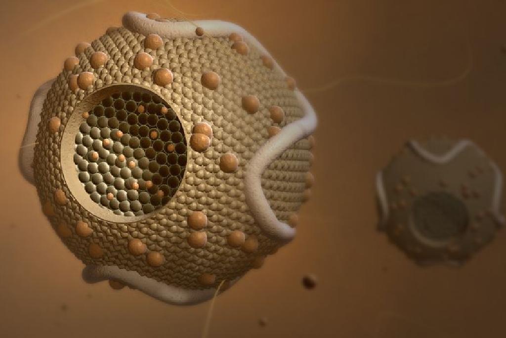 abetalipoproteinemi-nedir-belirtileri-ve-tani