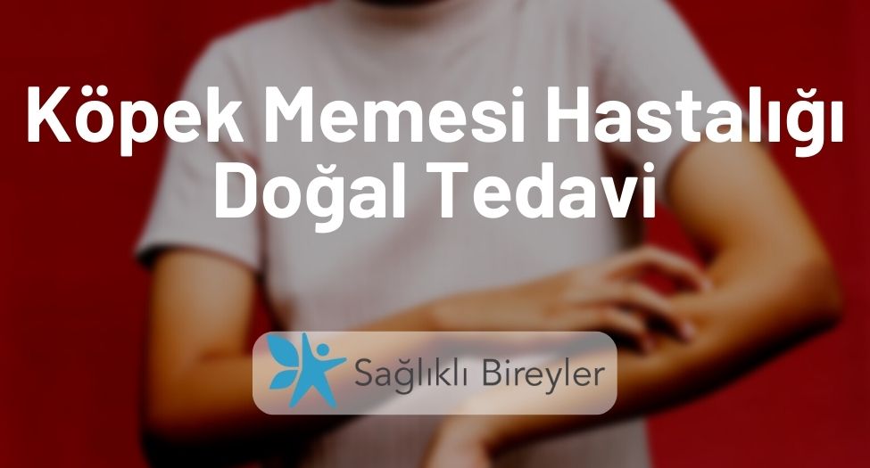 Köpek Memesi Hastalığı Doğal Tedavi